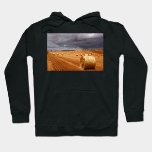 Harvest before the storm Hoodie